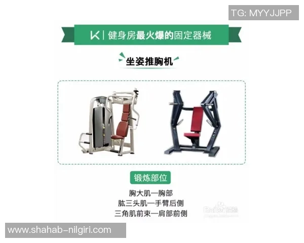 蓝色健身器材造型及功能特点解析