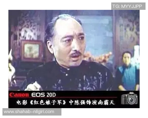 陈强谈排球生涯：从青涩少年到国家队的奋斗与荣耀